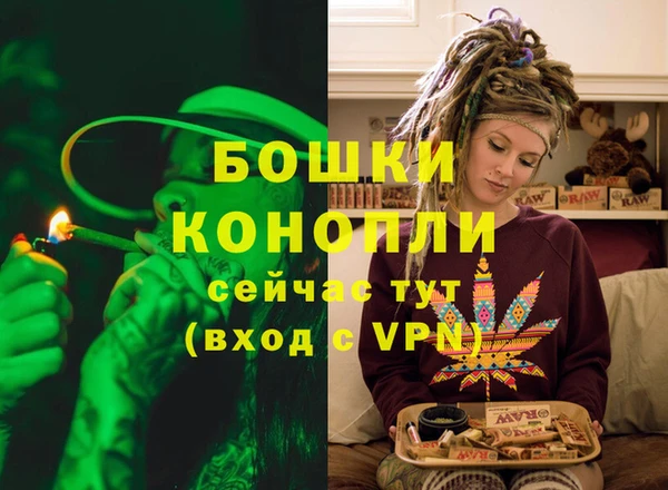 дмт Киреевск