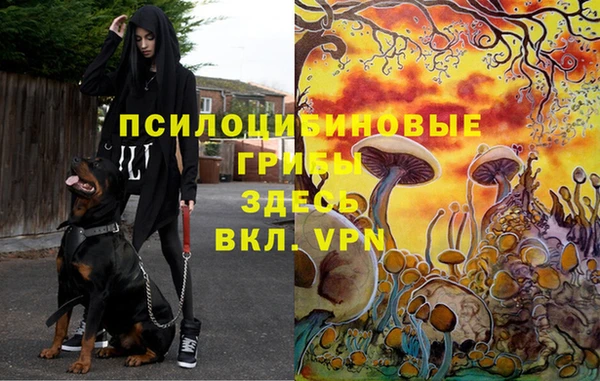 эйфоретик Кинешма