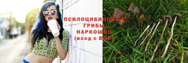 СК Карталы